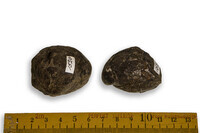 F 01520
<br/>
<br/>
<em></em>